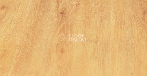 Кварцвиниловые полы Vinilpol Click 5мм 7896-EIR Дуб Флоренция фото 1 | FLOORDEALER